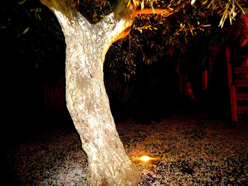 Ciuscia Bed & Breakfast Calatabiano Bagian luar foto