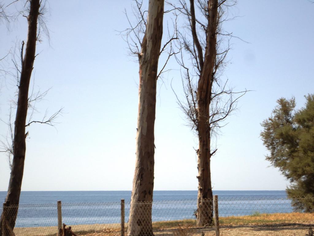 Ciuscia Bed & Breakfast Calatabiano Bagian luar foto