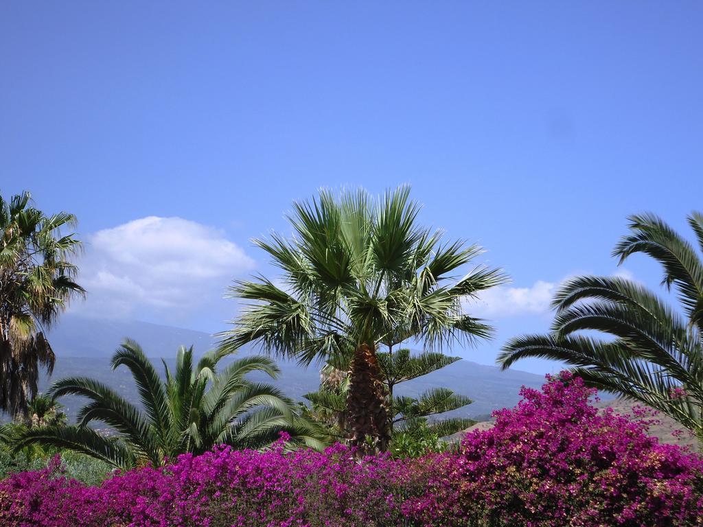 Ciuscia Bed & Breakfast Calatabiano Bagian luar foto